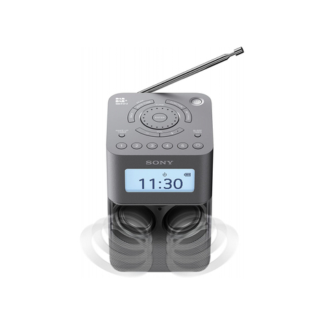 Sony Xdr-V20dh, Tragbares Dab/Dab+ Uhrenradio Mit Lautsprecher, Schwarz