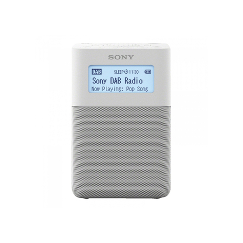 Sony Xdr-V20dw, Tragbares Dab/Dab+ Uhrenradio Mit Lautsprecher, Silber