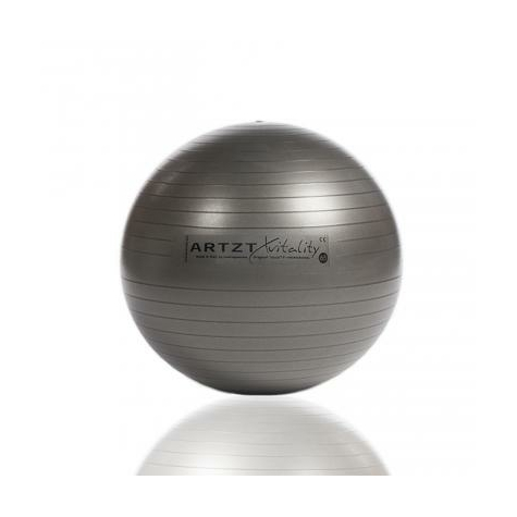 Artzt Vitality Fitness-Ball Professional, 65 Cm
