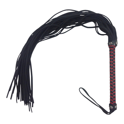 Ballgag : Leather Whip