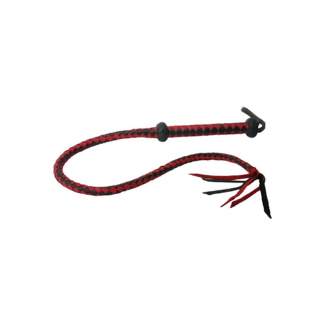 Ballgag : Premium Rot And Schwarz Leather Whip