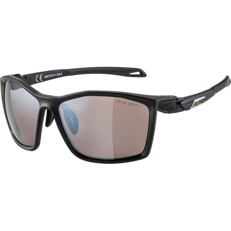 Sunglasses Alpina Twist Five Hm+