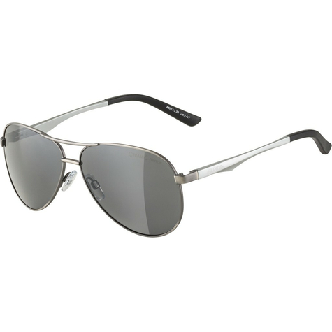 Sunglasses Alpina A 107