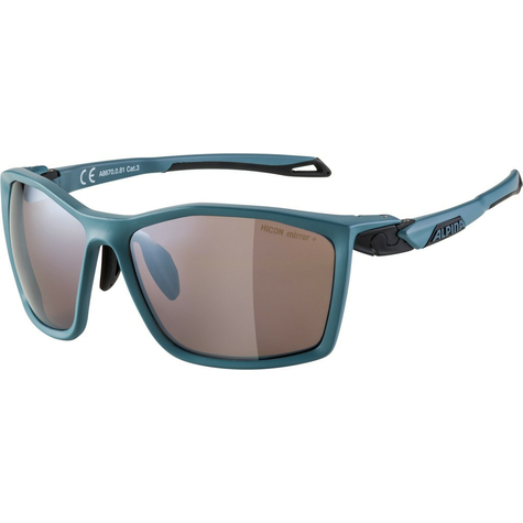 Sunglasses Alpina Twist Five Hm+