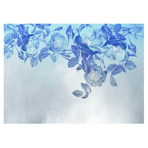 Vlies Fototapete - Blue Aura  - Größe 350 X 250 Cm