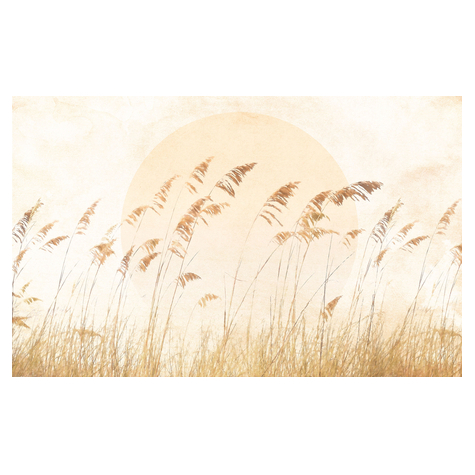 Vlies Fototapete - Dune Grass - Größe 400 X 250 Cm