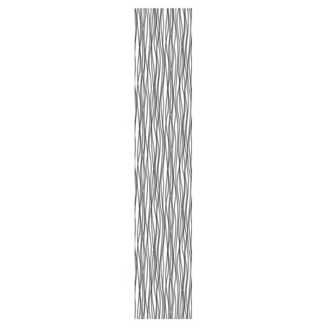 Vlies Fototapete - Zebra - Größe 50 X 270 Cm