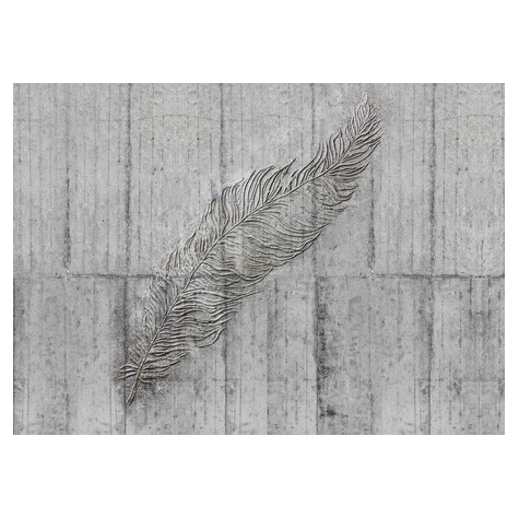 Vlies Fototapete - Concrete Feather  - Größe 350 X 250 Cm