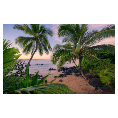 Vlies Fototapete - Hawaiian Dreams  - Größe 450 X 280 Cm