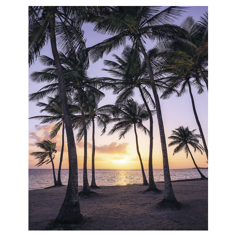 Vlies Fototapete - Palmtrees On Beach - Größe 200 X 250 Cm
