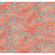 Vlies Fototapete - Coralla - Größe 300 X 280 Cm
