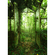 Vlies Fototapete - Greenhouse - Größe 200 X 280 Cm