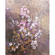 Vlies Fototapete - Hanami  - Größe 200 X 250 Cm