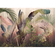 Non-Woven Wallpaper - Rainforest Mist - Size 350 X 250 Cm